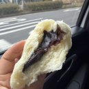 지에스25 정자한라점 | [제주] 3박4일 겨울 제주 애견동반 가족여행