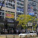 오룡 | [내돈내산 리뷰] 스타벅스 무안오룡점 오픈 첫날 후기｜오픈 이벤트 머그컵 득템