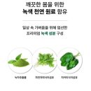 카젠 이미지