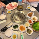 큰나무두리