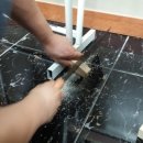 STEAM 융합과학 이미지