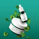 리퍼블릭 이미지