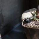 볼스프로덕션 이미지