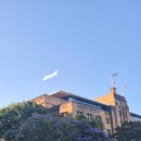 시드니호텔 | 시드니 호텔 후기｜시내 3박 + 공항 1박 솔직 리뷰 (리지스 월드 스퀘어·트래블로지)