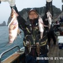 월드피싱 Daum카페