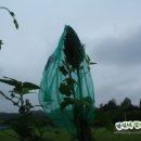 밤실농장 이미지