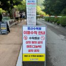 대운산매점 | 울산 수목원 대운산 내원암계곡 스노쿨링 첫방문 솔직후기