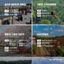 테마투어(해양생태 체험) 이미지
