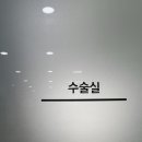 24시 쓰담쓰담 동물메디컬센터 이미지