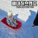 배내허브랜드 | 재밌는만큼 힘들었던 양산 배내허브랜드 real 후기(주차, 썰매, 식사, 오전/오후 타임 등)