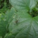 한신유치원 이미지