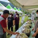 충북농업기술원 마늘연구소 이미지