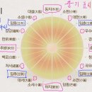 윤달 주기 보는법 이미지