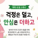 도민썬팅
