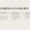 꿀부동산중개공인중개사 이미지
