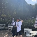 올레 김밥 이미지