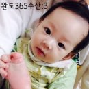 완도수산365 이미지