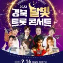 물결치는 달빛 (  이미지