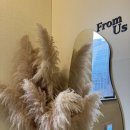 cs빌딩 | [선릉미용실] 주미진 디자이너 CS컬 시술 후기｜프롬어스헤어선릉역점