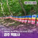 백률사 | 여름방학 역사책 투어 신라 이차돈 순교지, 경주 백률사