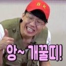 금강뻘낙지장어요리
