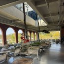 그린하우스 | [내돈내산] 창원 동읍 베이커리 로스터리 카페 “그린하우스 주남점” 방문후기