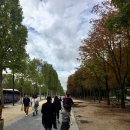 부경렌즈 이미지