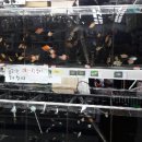 현대아울렛DC백화점 이미지