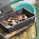 삼일수산식당 이미지