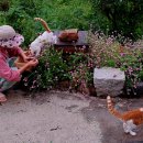 지리산해뜨네