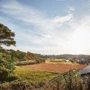 영전황토마을 이미지