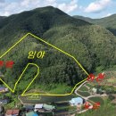 귀산공인중개사사무소 이미지