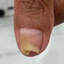 신통한방병원 이미지