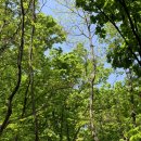 에덴자동차공업사 이미지