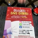 미스돼지 이미지