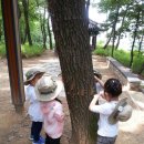 죽전유아숲체험원 네이버블로그