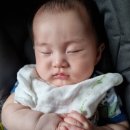 무선제일의원 이미지