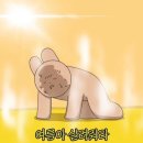 더온 피트니스 이미지