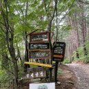 강선산방 이미지