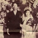 강경상업고등학교 | 김관식이라는 시인이 있었다(1)