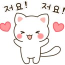 코코샤브(재송점) 이미지