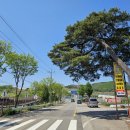 평촌초등학교 앞 이미지