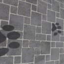 안창마을 이미지