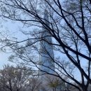 송파구 송파문화체험길 | 송파구 석촌호수 벚꽃축제 구경후기 콘서트 공연 날짜 체험부스 포토존 전시정보