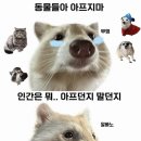 고집(Go집)