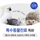 오남동물병원 이미지