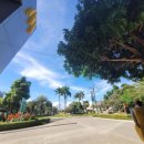 뉴 퍼시픽 이미지