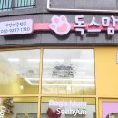 독스맘 이미지
