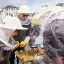 하비에르국제학교 이미지