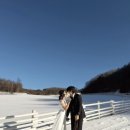 주정차76 | 강릉 셀프스냅 • 강릉 부케 캄파니아 플라워 내돈내산 후기